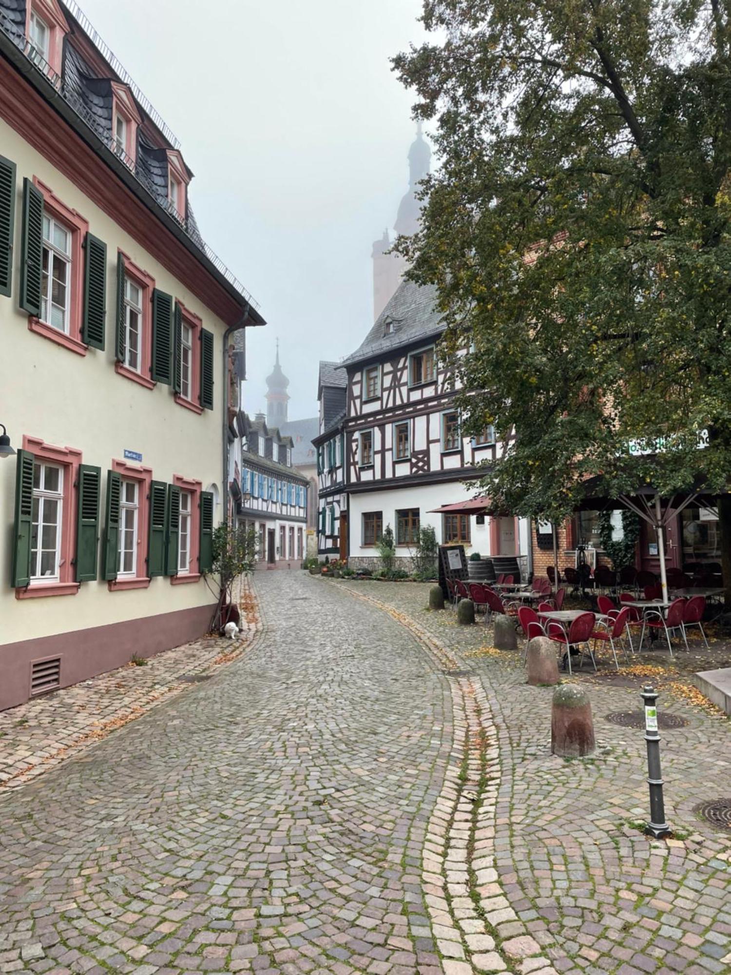 Alta Villa - Ferienwohnung Eltville am Rhein Екстер'єр фото